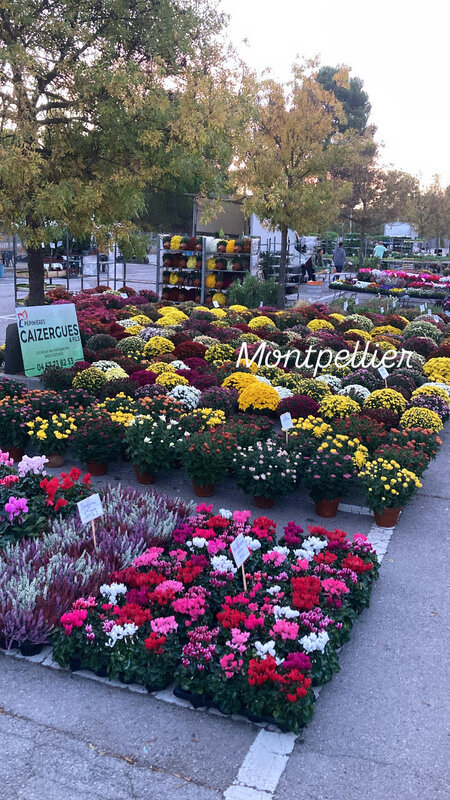 March&eacute; Montpellier Mosson